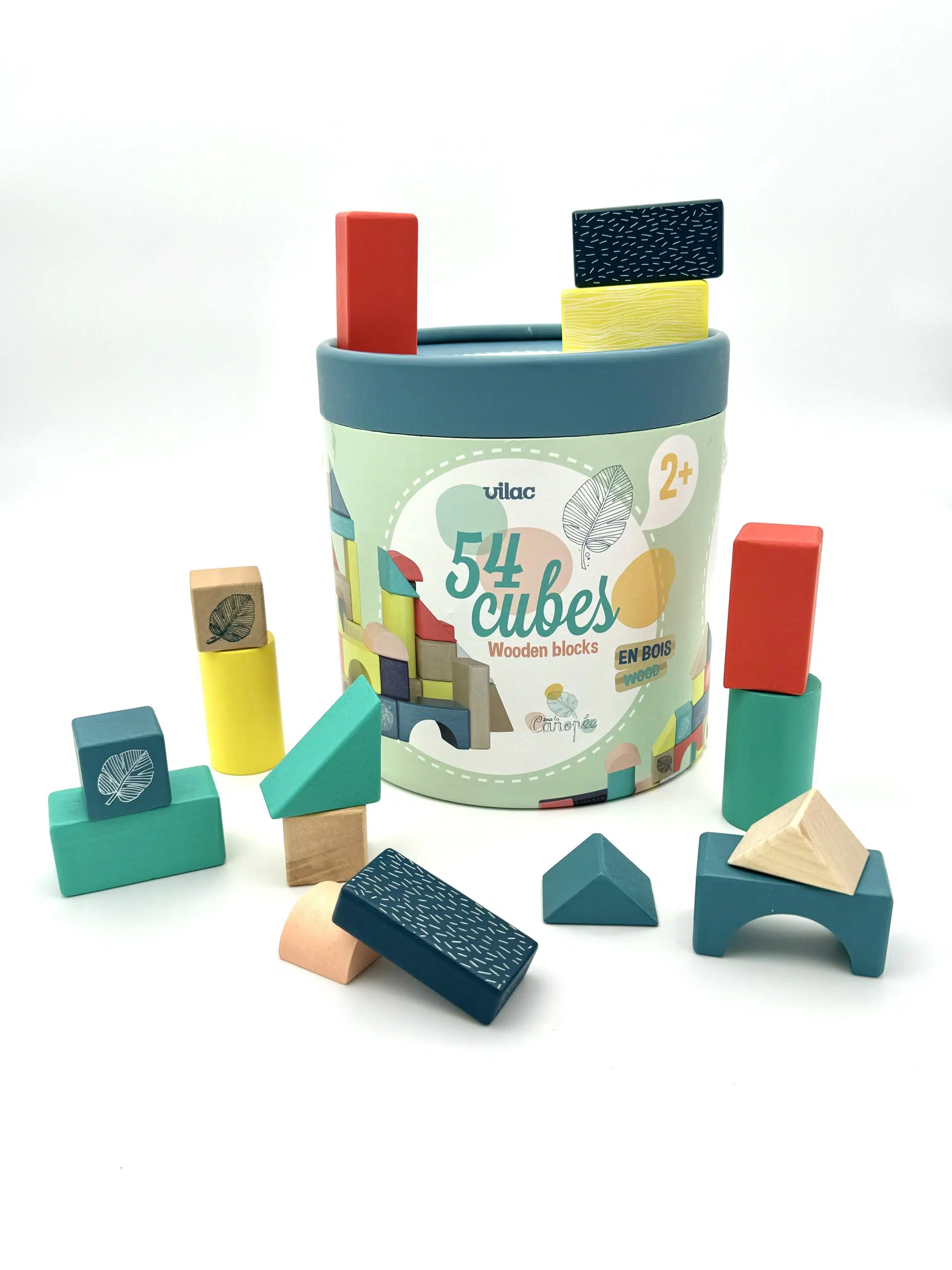 Cubes Sous la Canopée